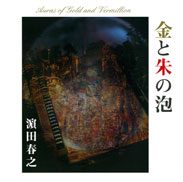 『金と朱の泡』の表紙
