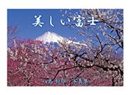 『美しい富士』の表紙