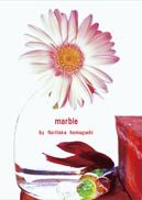 『marble』の表紙