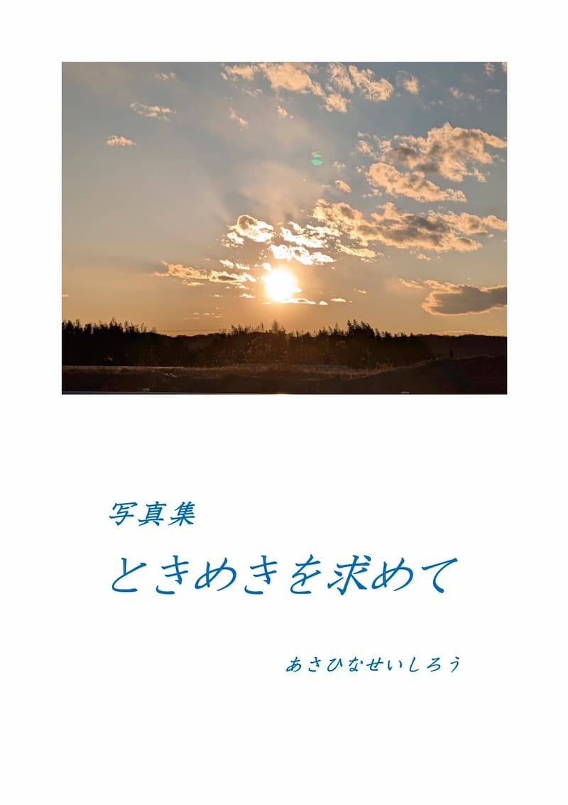 『ときめきを求めて』の実物写真