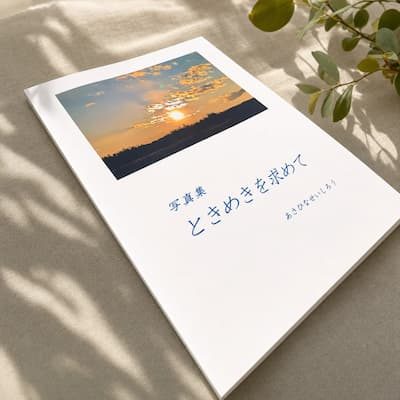 『ときめきを求めて』の実物写真