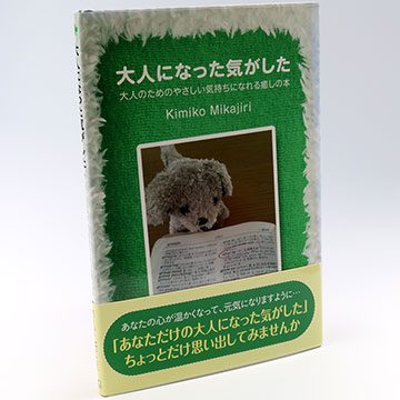 『大人になった気がした 大人のためのやさしい気持ちになれる癒しの本』の実物写真